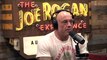 Joe Says He'd Have Katt Williams On the Show - The Joe Rogan Podcast