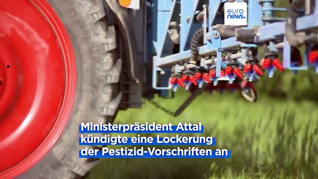 Umweltschützer:innen verärgert über Lockerung der Pestizid-Beschränkungen in Frankreich