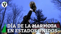 La localidad de Punxsutawney (Pensilvania) acoge el tradicional acto del Día de la marmota Phil