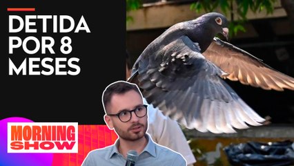 Índia liberta suposta pomba espiã da China; Fabrizio Neitzke analisa