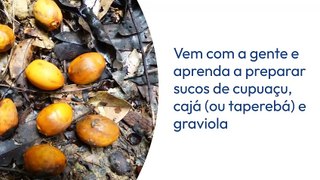 3 sucos com frutas típicas da Amazônia para ter mais saúde