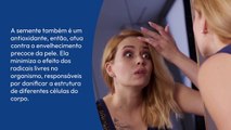 Chia: veja os benefícios da semente