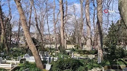 Kabirler ne hale geldi! Ekrem'den mezarda yatanlara da rahat yok