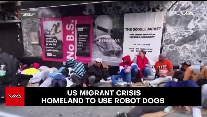 Robot Dogs Will DESTROY New York City!