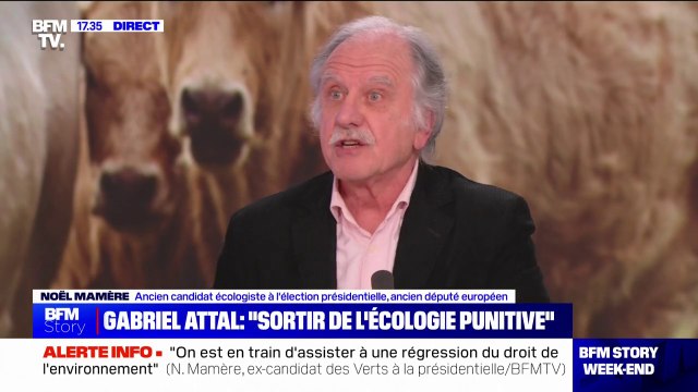 Noël Mamère (ancien député européen écologiste): La FNSEA a un rôle majeur dans cette crise parce qu'elle cogère la politique agricole de notre pays avec l'État depuis les années 50