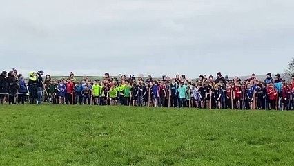 Landrake Primary School Cross Country Year 3/4 boys race!