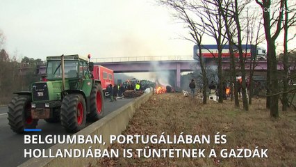 A belga, a holland és a portugál gazdák is kitartanak, a franciák viszont elindultak haza