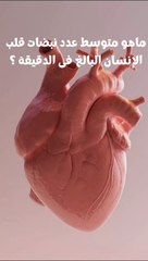 ماهو متوسط عدد نبضات القلب في جسم الإنسان البالغ فى الدقيقة ؟