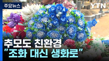 추모도 친환경..."조화 대신 생화로" / YTN