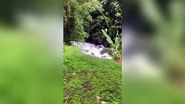 Una densa schiuma tossica ha invaso il fiume Rio Seco, in Brasile | Il video