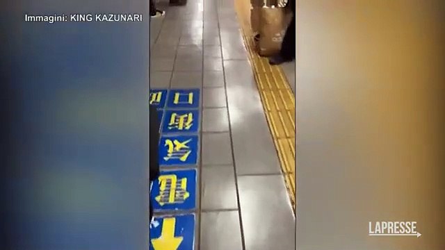 Giappone, accoltella 4 persone in metro: arrestata una donna