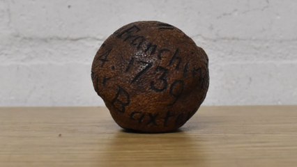 Un Limón De 285 Años Subastado Por 1.800 Dólares