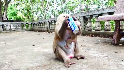 Rockstar Baby Tries To Escape From Orange Juice Drops On Him (720p_25fps_H264-192kbit_AAC)