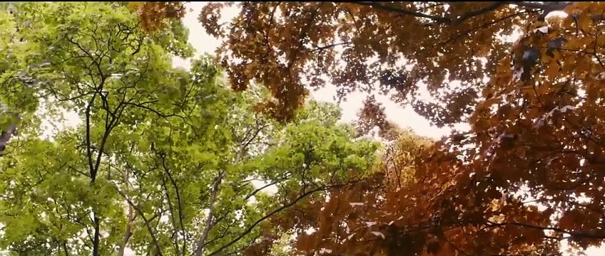 Bande-annonce de La vie d'Adèle. Récompensé à Cannes, ce film culte a été un enfer à tourner pour ses actrices, maltraitées par le réalisateur : Il n'y avait pas de respect