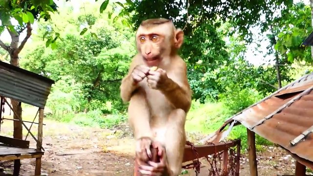 Rozy is mistreated her son Rockstar Till shaking his body harder (720p_25fps_H264-192kbit_AAC)