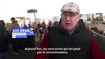 Pourquoi les agriculteurs européens manifestent ?