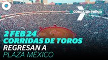 Juez determina que las corridas de toros regresan a la Plaza México | Reporte Índigo