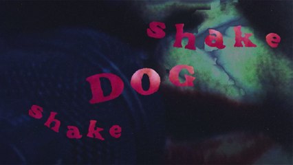 The Cure - Shake Dog Shake (Live At Zenith / Visualiser)