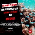 The Coral Planters : Des héros français sauvent les récifs aux Maldives