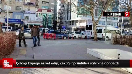 Kırşehir'de çaldığı köpeğe eziyet edip, çektiği görüntüleri sahibine gönderdi