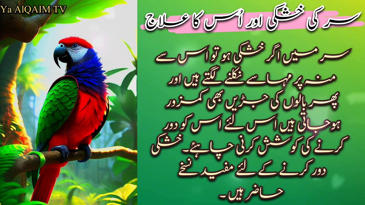 Hair Dryness, Hair Growth and Fat Loss Secrets | سر کی خشکی، بال لمبے کرنے اور موٹاپا دور  کے طریقے