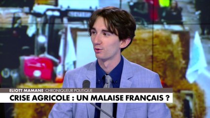 Download Video: Eliott Mamane : «Inscrire un objectif de souveraineté dans la loi n’a aucun sens : la loi est l’expression de la souveraineté»