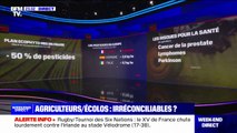 Pause du plan Écophyto: la France utilise-t-elle beaucoup de pesticides par rapport à ses voisins?