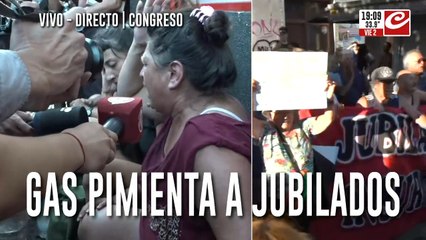 Máxima tensión en Congreso: le tiraron gas pimienta a jubilados