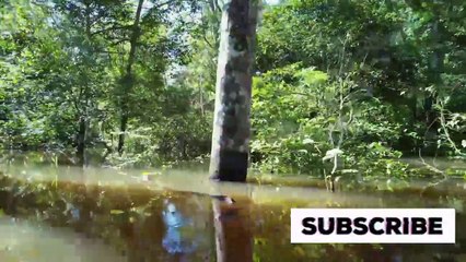 "Unveiling the Lost Valley: A 2500-Year Enigma Revealed"