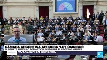 Informe desde Buenos Aires: 'Ley Ómnibus' avanza a una revisión de artículo por artículo