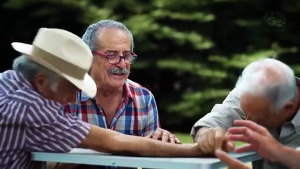 ازاي جميع الحيوانات بتلعب وتهزر