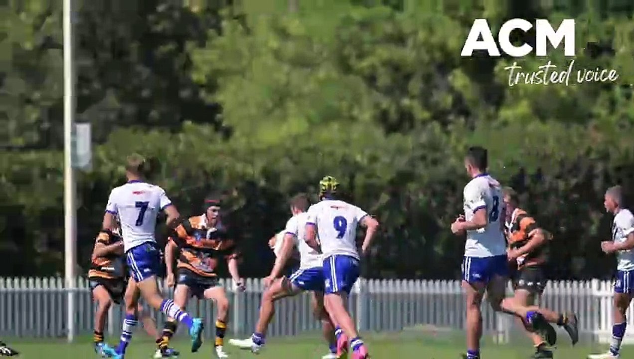 Northern Tigers v North Coast Bulldogs | Scully Park, February 3 | Northern Daily Leader