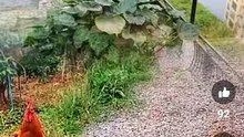 Screenrecording_25670122_153808