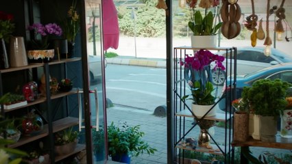 El Juego de Mi Destino Capítulo 58 Completo en Audio en Español 🎧