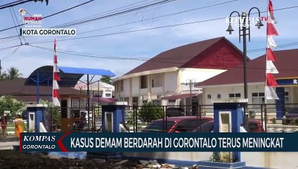 Kasus Demam Berdarah di Gorontalo Terus Meningkat