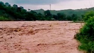 Markanda river raudra rup | markanda river flood