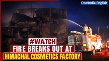 Himachal Pradesh Fire: Massive fire breaks out at cosmetic factory in Solan, 1 dead | Oneindia