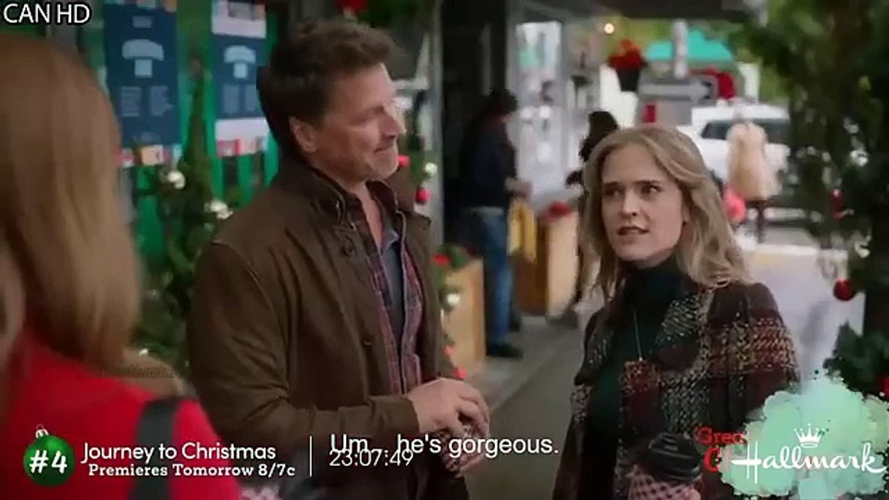 Love on a Limb 2024 Best Hallmark Christmas Movies 2024 Great