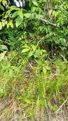 PENYAKIT MASYARAKAT! LEGALKAN AJA SEKALIAN CARA INI 