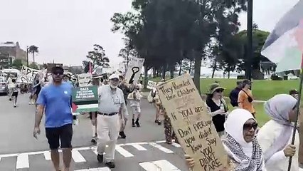 Protestors stage Palestine support rally in Newcastle | Newcastle Herald | February 3, 2024
