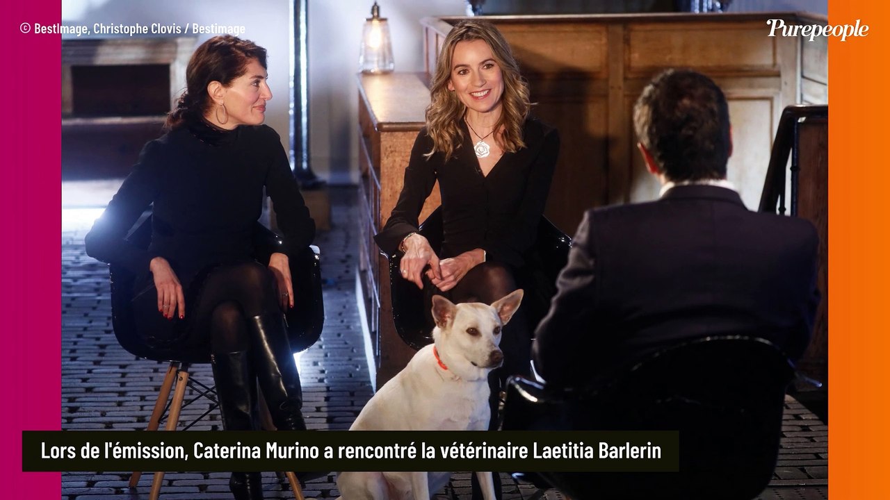 PHOTOS Caterina Murino sublime en robe et cuissardes pour parler d'une grande cause avec Bernard Montiel