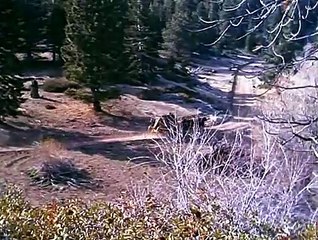 Bonanza Season 3 Episode 31