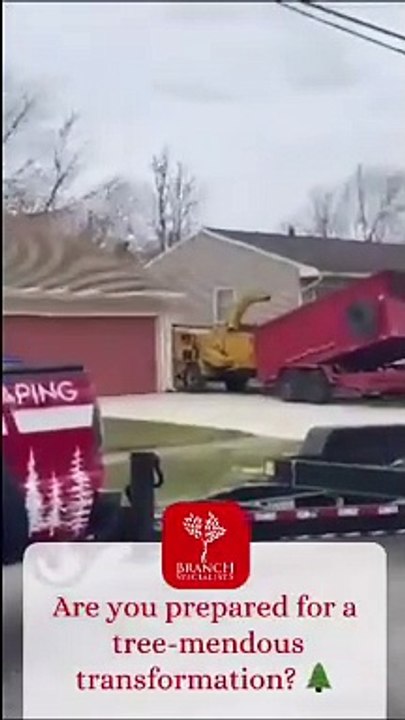 Branch Specialists Rochester's Trusted Tree Service Experts