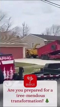 Branch Specialists Rochester's Trusted Tree Service Experts