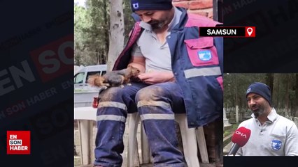 Mezarlık işçisinin sincaplarla bağı
