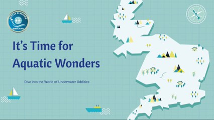 Exploring Aquatic Wonders
