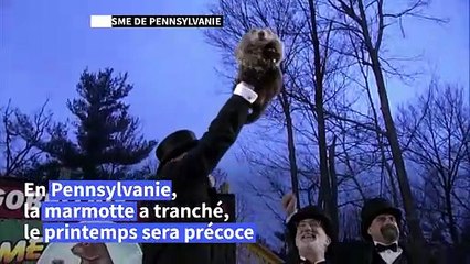 La marmotte météorologue américaine prédit un printemps précoce