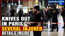 France: Knife Attack Unfolds at Paris Railway Station, Suspect in Custody, 3 Injured | Oneindia News