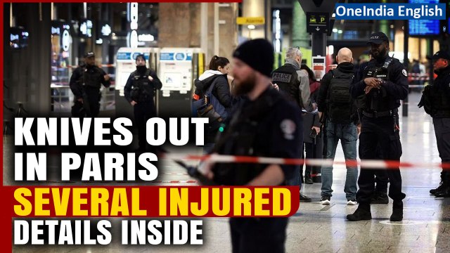 France: Knife Attack Unfolds at Paris Railway Station, Suspect in Custody, 3 Injured | Oneindia News