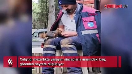 Sincaplarla hayrete düşüren bağ! 'Sevginin başaramayacağı hiçbir şey yok'